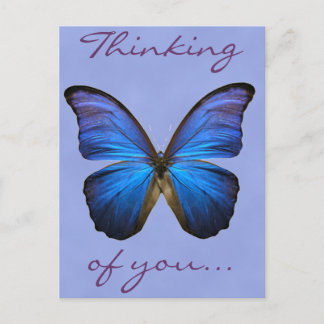Carte Postale Magnifique papillon bleu Morpho