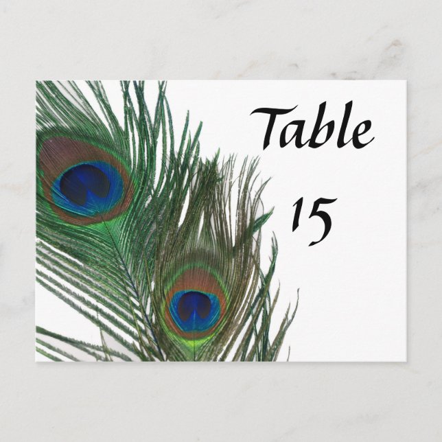 Carte Postale Magnifique Peacock Mariage chiffres (Devant)