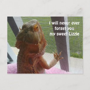 Carte Postale Magnifique photo commémorative de dragon perché