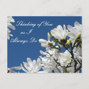 Carte postale Magnolia