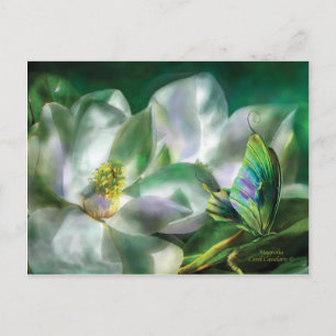 Carte postale Magnolia