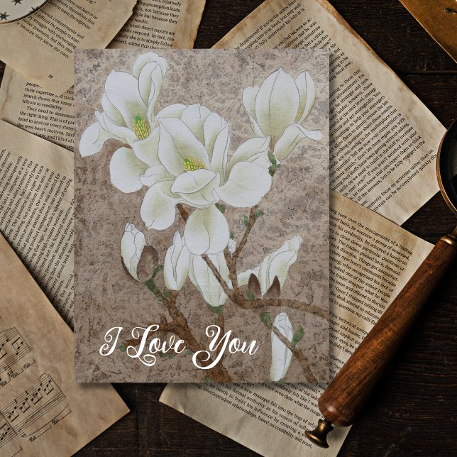 Carte Postale Magnolia blossom (Créateur téléchargé)