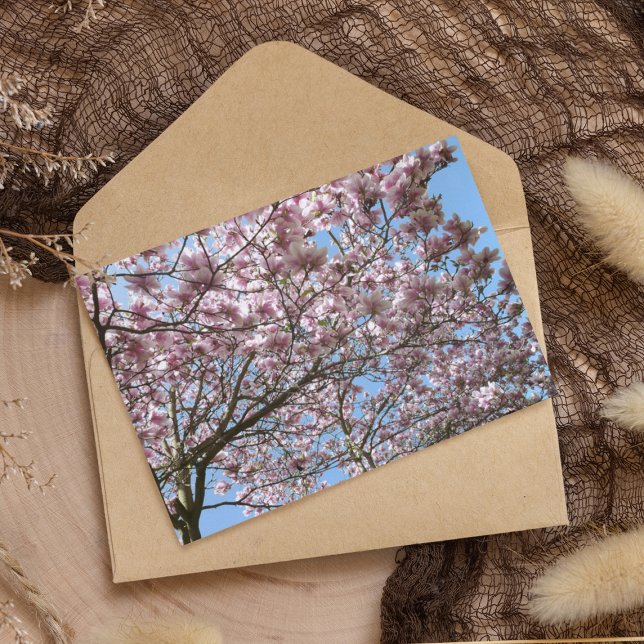Carte Postale Magnolia en avril (Créateur téléchargé)