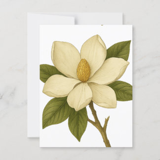 Carte Postale Magnolia — Noblesse