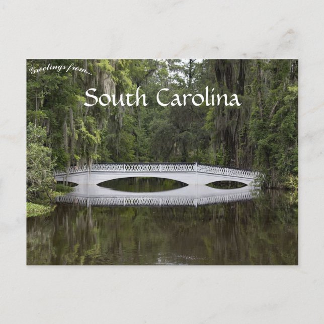 Carte Postale Magnolia Plantation Charleston Caroline du Sud (Devant)