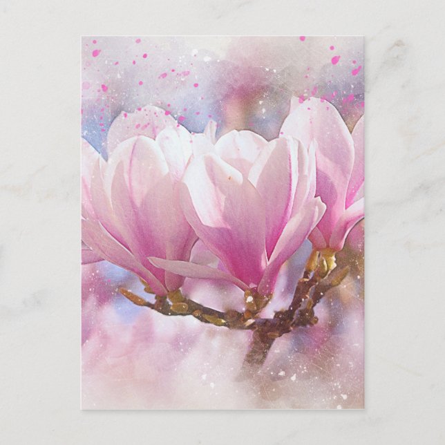 Carte Postale Magnolia rose-pourpre en floraison - Fleur de prin (Devant)