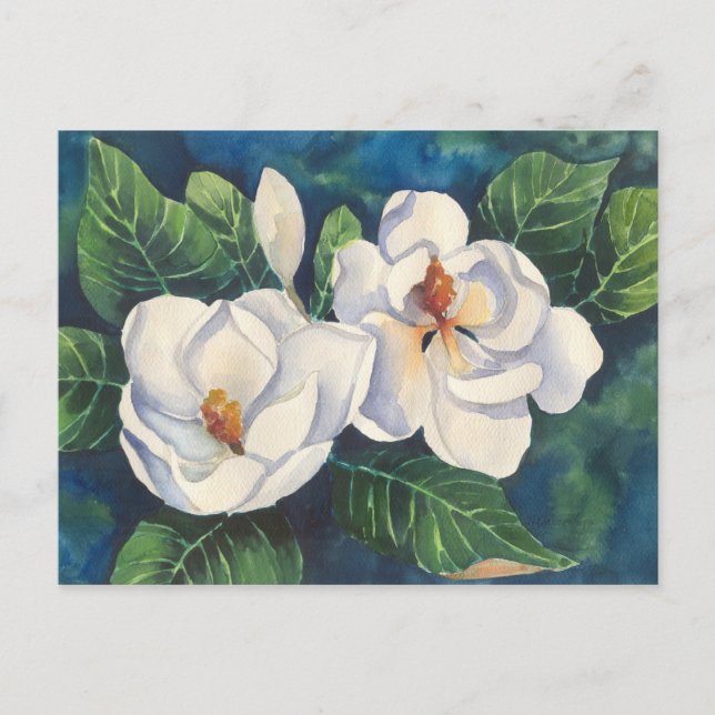 Carte Postale Magnolias du Sud (Devant)