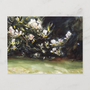 Carte Postale Magnolias par John Singer Sargent