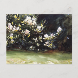 Carte Postale Magnolias par John Singer Sargent