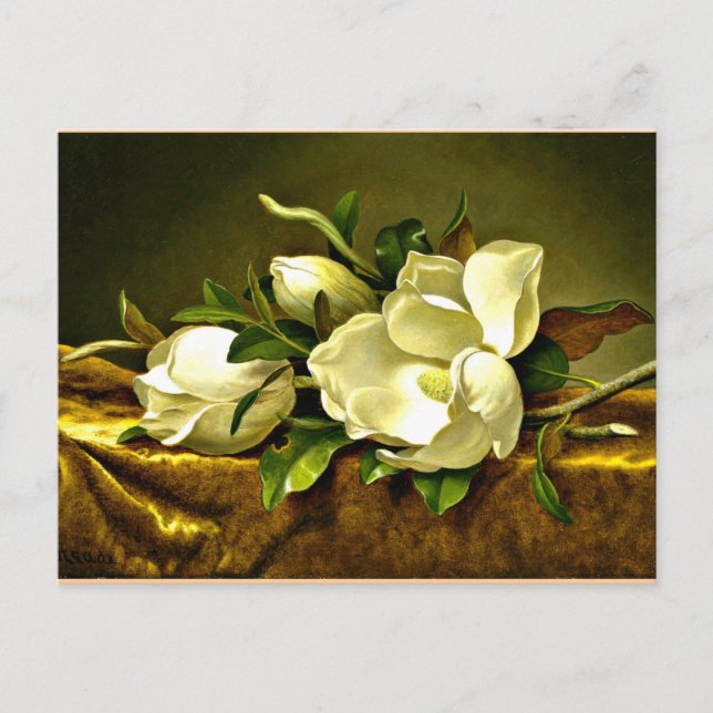 Carte Postale Magnolias sur le tissu en velours or (Devant)