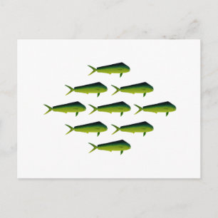 Carte Postale Mahi Mahi Poisson - Dauphin - Dorado