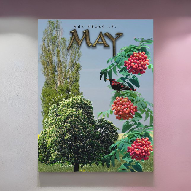 Carte Postale Mai Mois Arbres châtaigniers Rowan Ash, peuplier (Créateur téléchargé)