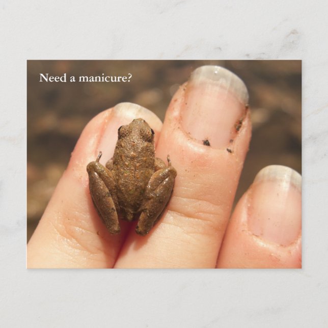 Carte Postale Main Froggy (Devant)