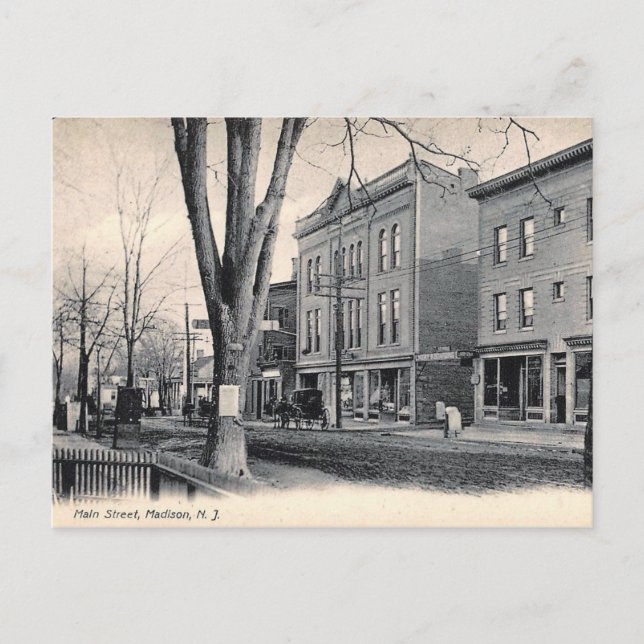 Carte Postale Main St, Madison, New Jersey 1908 (Devant)