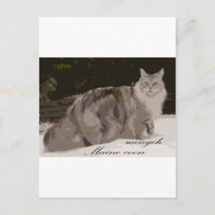 Carte Postale maine coon
