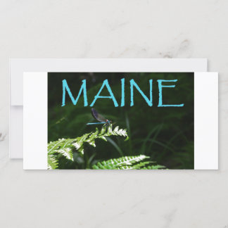 Carte postale Maine d'une libellule