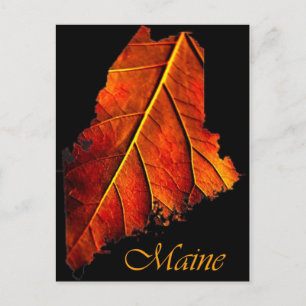 Carte Postale Maine Fall Photo Foliing Maine Autumn Foliing
