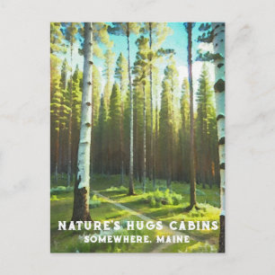 Carte Postale *~* Maine Forest Birch Evergreens AP49