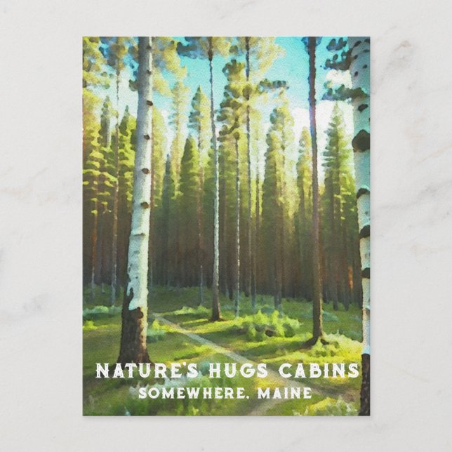 Carte Postale *~* Maine Forest Birch Evergreens AP49 (Devant)