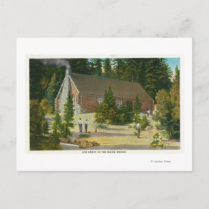 Carte Postale MaineVue d'un Cabine de journaux dans le Maine Woo