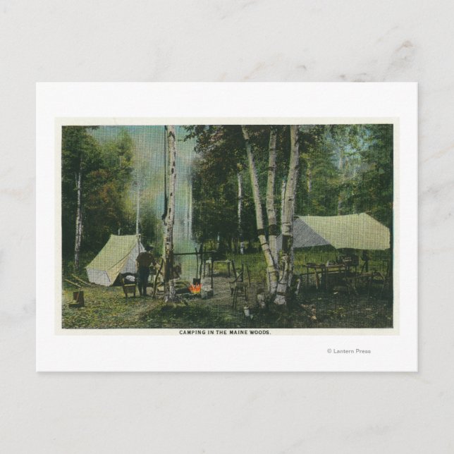 Carte Postale MaineVue d'un terrain de camping dans le Maine Woo (Devant)