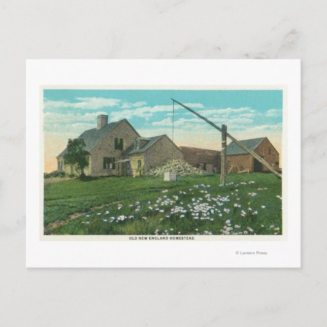 Carte Postale MaineVue d'une ancienne ferme de la Nouvelle-Angle (Devant)