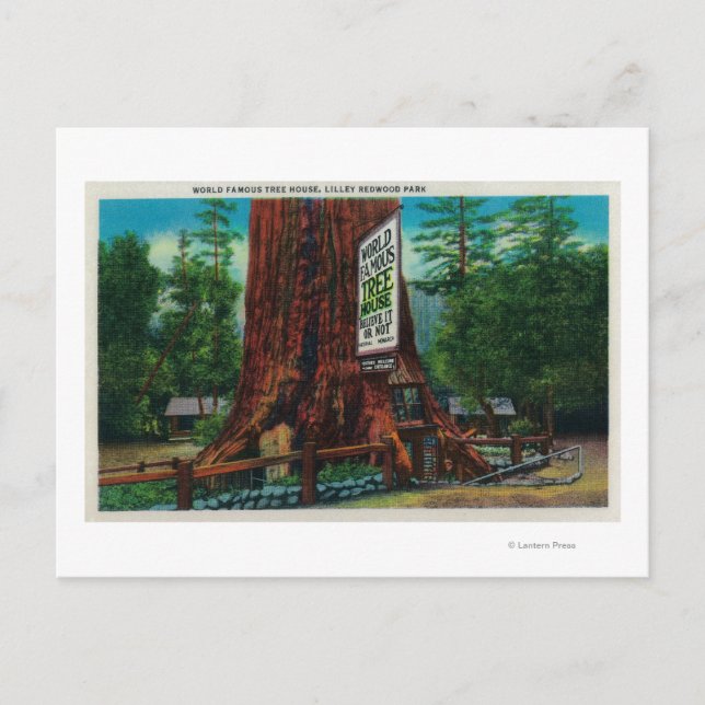 Carte Postale Maison Arbre Célèbre Mondiale, Lilley Redwood Park (Devant)