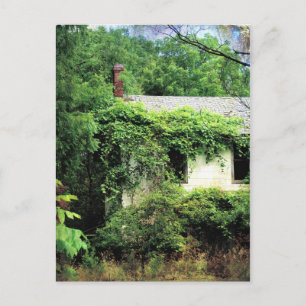Carte Postale Maison Blanche abandonnée dans les bois