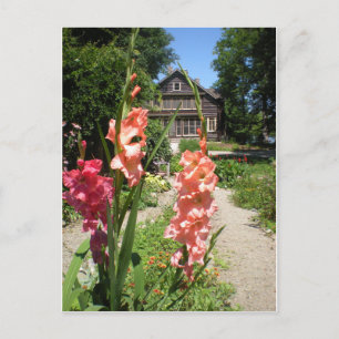 Carte Postale Maison de Gene Stratton Porter à Fleur sauvage Woo