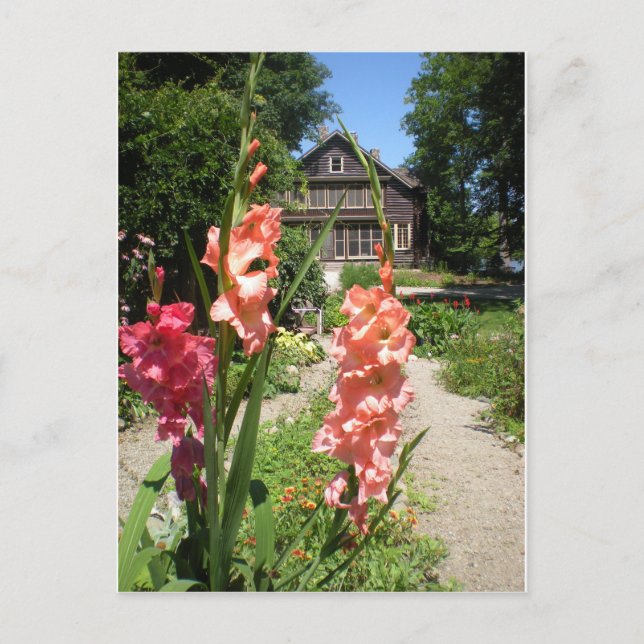 Carte Postale Maison de Gene Stratton Porter à Fleur sauvage Woo (Devant)