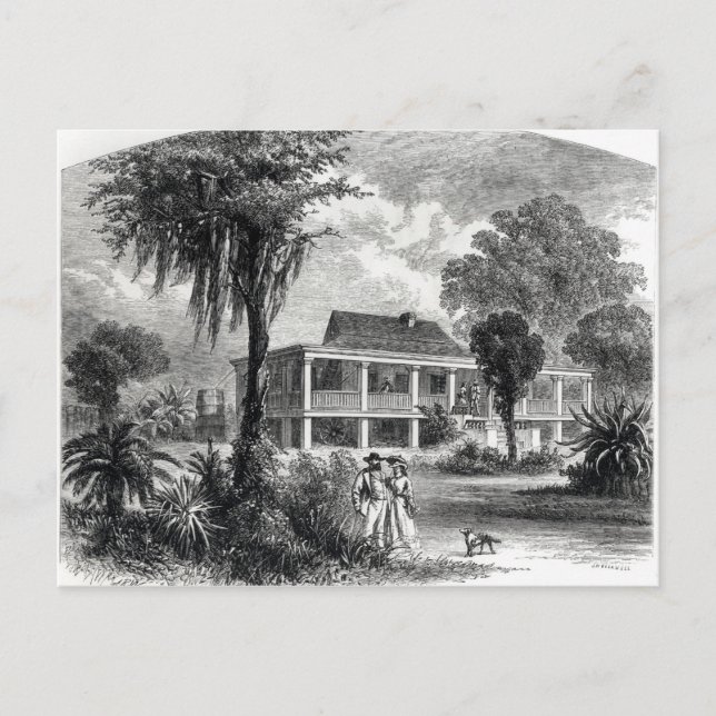 Carte Postale Maison de Planter sur le Mississippi (Devant)