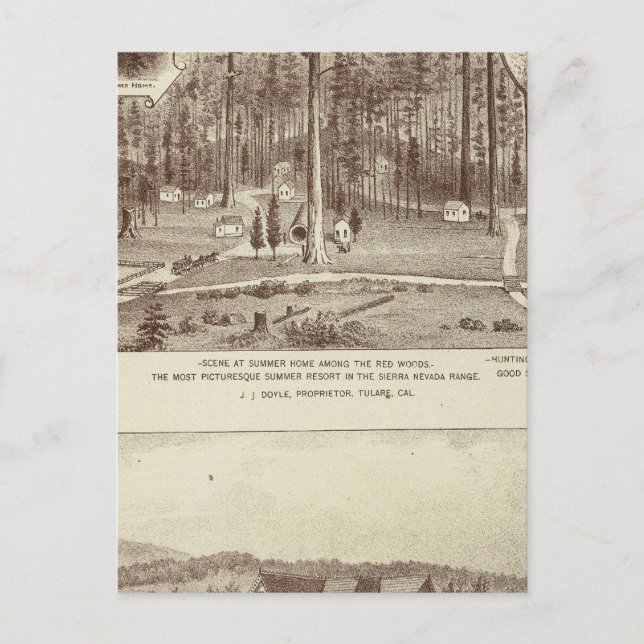 Carte Postale Maison d'été, résidence de Lewis (Devant)