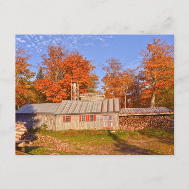 Carte Postale Maison du sucre du Vermont (Devant)