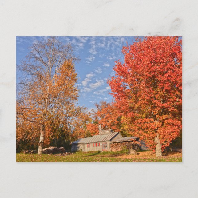 Carte Postale Maison du sucre du Vermont (Devant)
