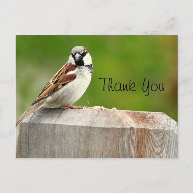 Carte Postale Maison Sparrow (Devant)