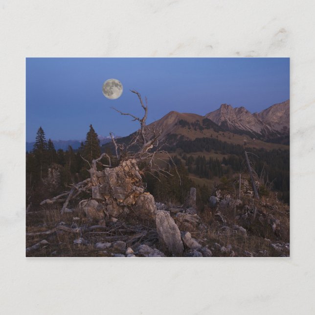 Carte Postale Maîtresse De La Nuit (Devant)