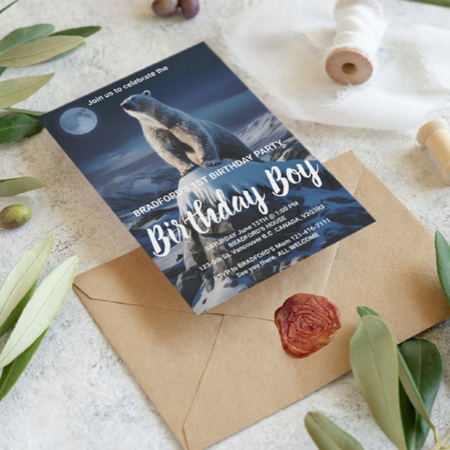 Carte Postale Majestic Aardvark dans Serene Field (Créateur téléchargé)