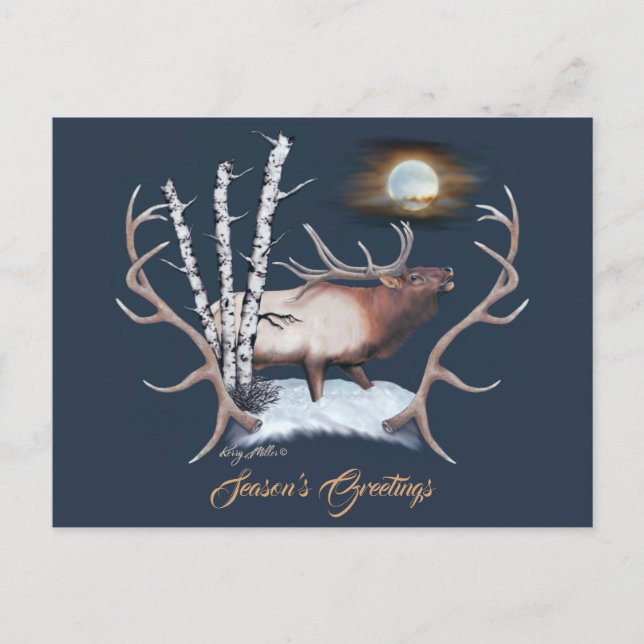 Carte Postale Majestic Bull Elk (Devant)