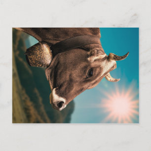 Carte postale Majestic Cow