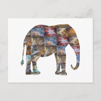 Carte Postale Majestic Friendly Animal : Elephant Marble Carreau