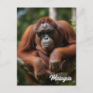 Carte Postale Malaisie Orangutan avec lunettes de soleil