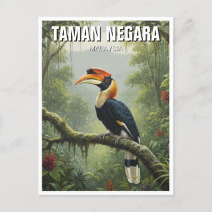 Carte Postale Malaisie Taman Negara Hornbill