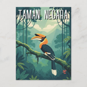 Carte Postale Malaisie Taman Negara Hornbill