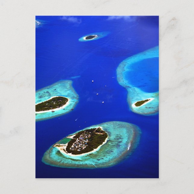 Carte Postale Maldives (Devant)