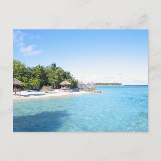 Carte Postale Maldives (Devant)