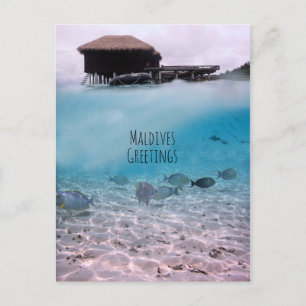 Carte Postale Maldives Salutations Snorkeling Fun Souvenir