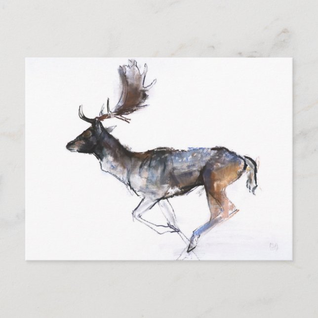 Carte Postale Mâle de soirée (Devant)