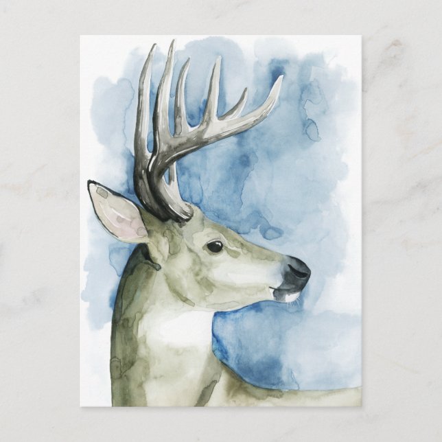 Carte Postale Mâle errant - aquarelle (Devant)