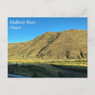 Carte Postale Malheur