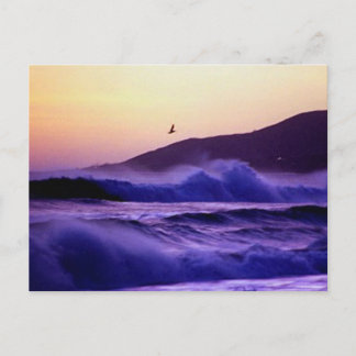 Carte Postale Malibu Beach